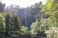 IMG_1026