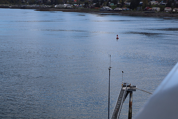 IMG_1109
